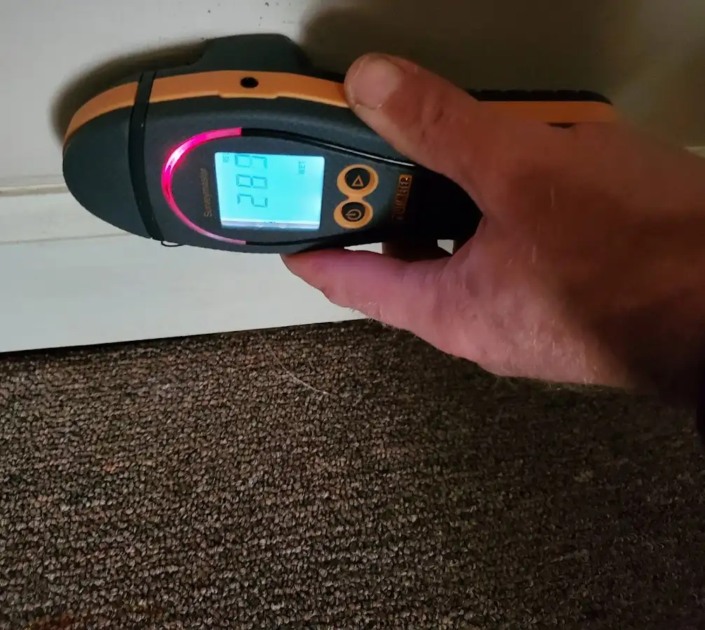 Moisture detection at baseboard during Sewage Cleanup & Sanitation in Crestwood